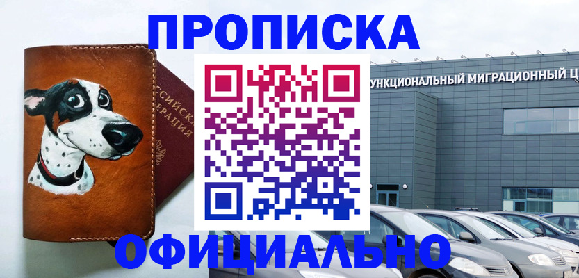 временная прописка в Сольцах
